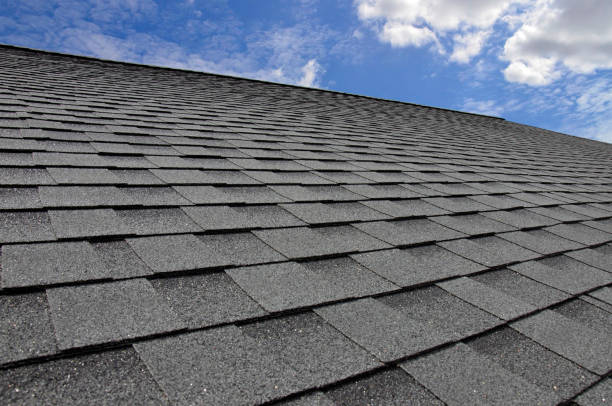 Best Roof Moss and Algae Removal  in New Richmond, OH
