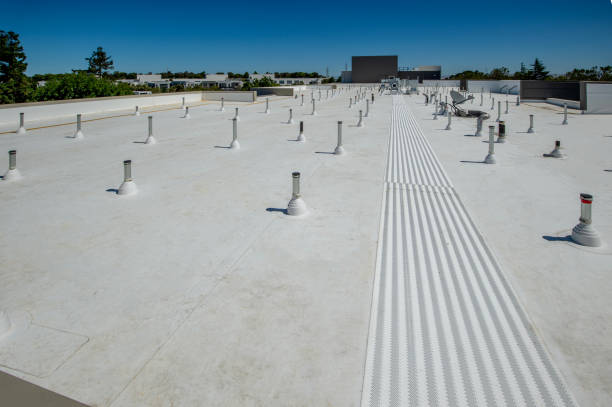 Best Roof Maintenance and Cleaning  in New Richmond, OH